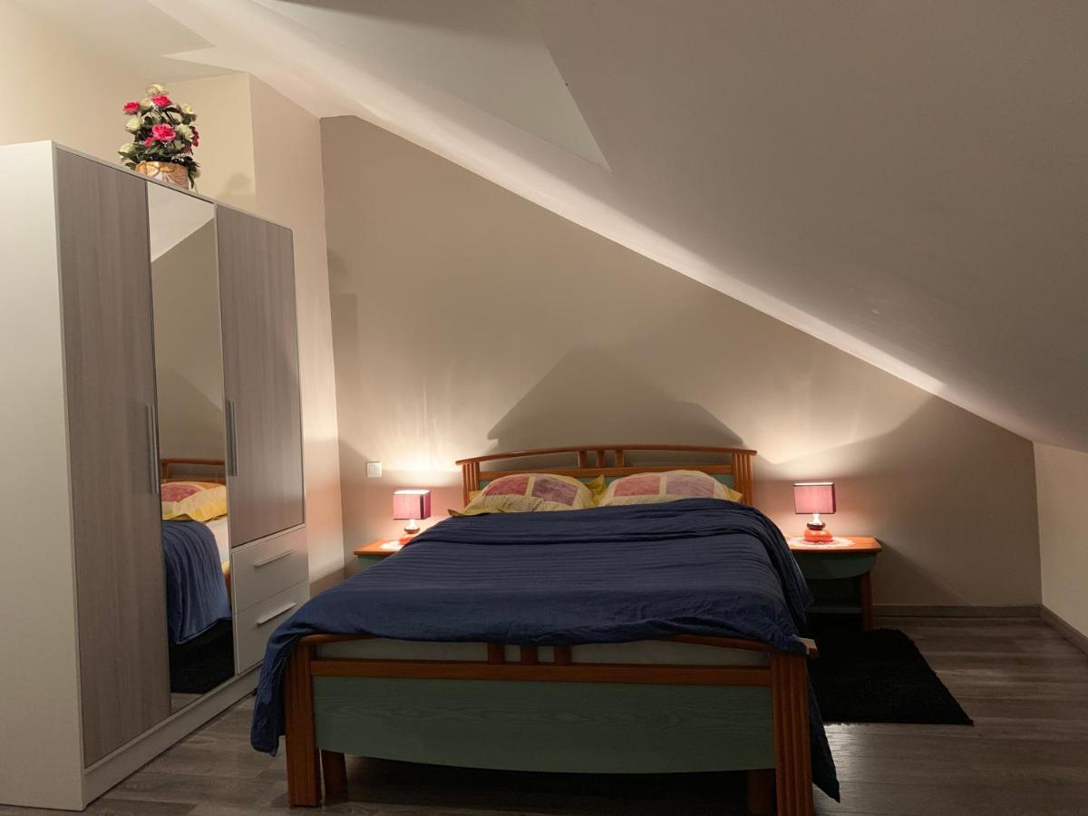Rochire Location 1 Apartment Gerardmer Bagian luar foto