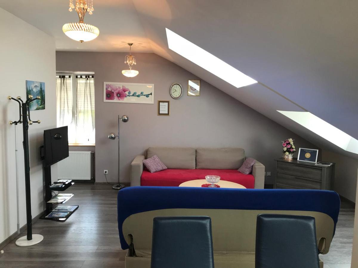 Rochire Location 1 Apartment Gerardmer Bagian luar foto